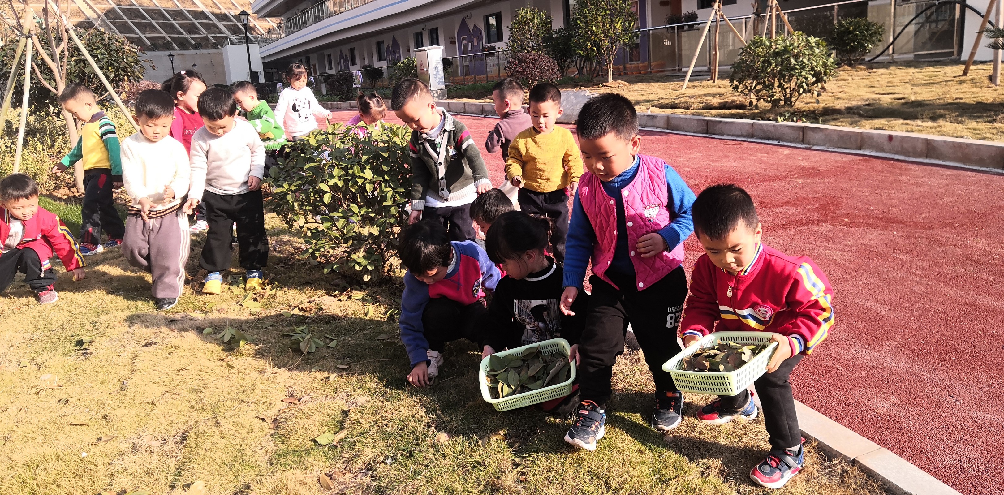 捡树叶.jpg